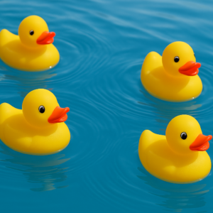 4 loten Badeendenrace